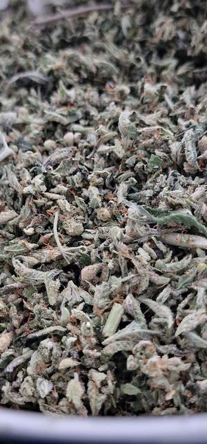 Super High Quality Resinous Gassy StarDawg Shake Potent