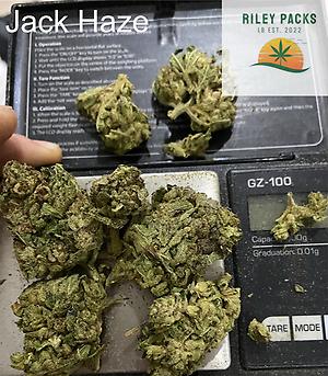 JACK HAZE - (Jack Herer x Super Silver Haze)