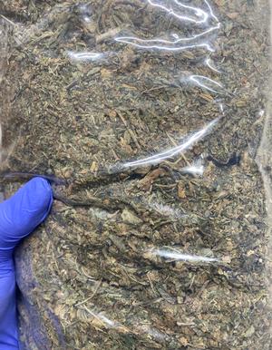 Super Cheap Shake - Big Deals Small Prices - Cur8