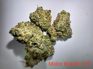 Motor Breath #15