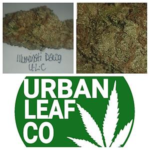 **ILLUMINATI DAWG - (FREE RM 1ST CLASS DELIVERY)**