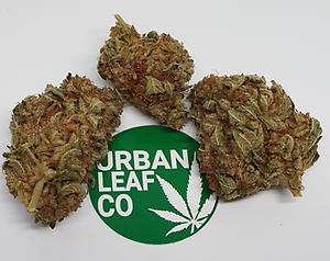 **COOKIE DAWG - (FREE RM 1ST CLASS DISPATCH)**