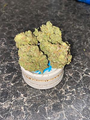 BLUE CHEESE **FREE 1ST CLASS**