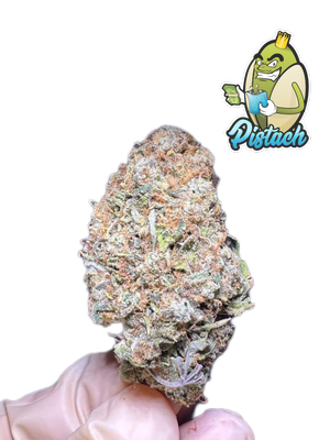 KING ZHEETOZ TOPSHELF ORGANIC LED FLOWER