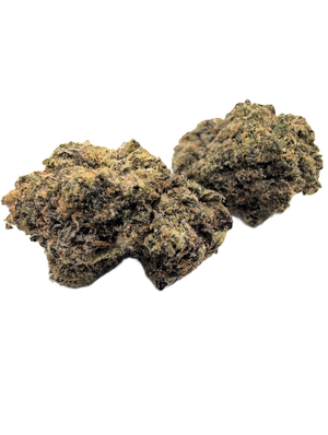 Royalty (Jealousy x Bakers Dozen) Premium exotic tops