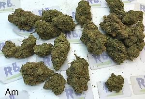 LEMON AMNESIA A+ DUTCH