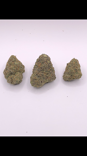 JUNGLE GRAPES - EXOTICS