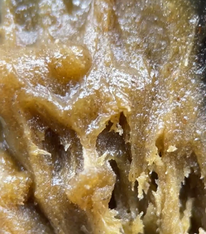 hash rosin