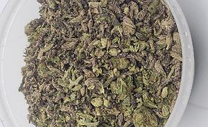 28G SHAKE (MIXED STRAINS)