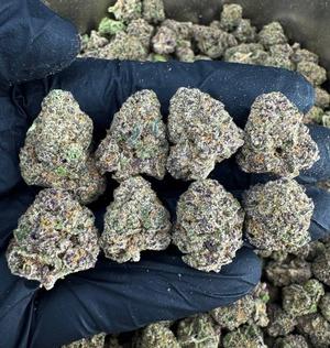 BOLO RUNTZ MEDICAL CANNABIS FREE DELIVERY