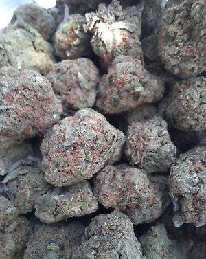 DOUBLE CROSS - INDICA DOMINANT