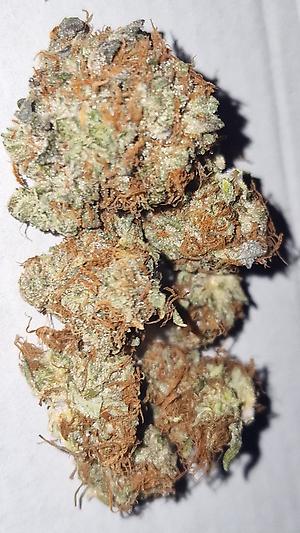 Stardawg- high grade organic