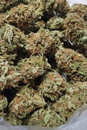 **ORGANIC BIG KUSH**