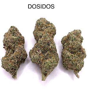 DOSIDOS