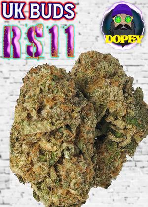 UK BUD'S