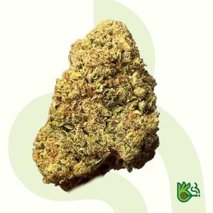 Gumbo *Free Shipping*