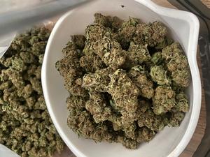 SkyWalker Og- Small to Bluk !