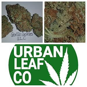 **GORILLA COOKIES - (FREE RM 1ST CLASS)**