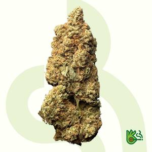 Super Silver Haze *Free Shipping*
