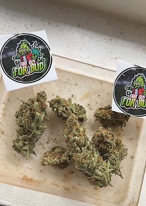 Tropical Haze - Introduction Offer