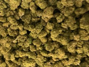 Cereal Milk [Smalls]