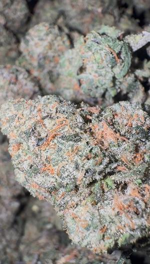 Organic Banana Jealousy