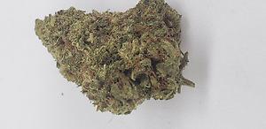 PEACH COBBLER (HYBRID)