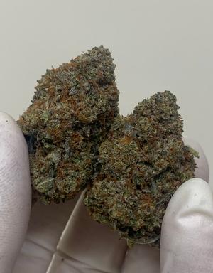 🔥 ⛽️ 10/10 Alien Dawg - Juicy Dense Purple Monster Nugs