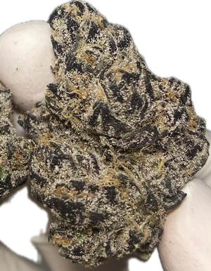 BUBBLEGUM NERDZ X-MAS IMPORT BANGER