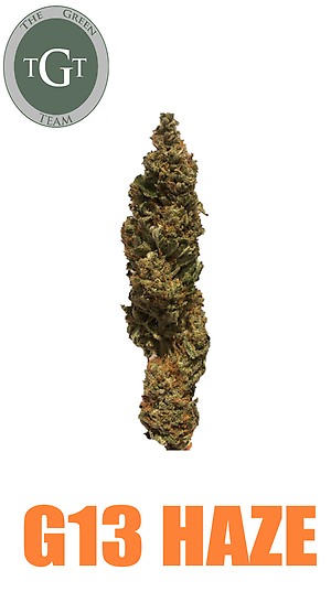 G13 HAZE