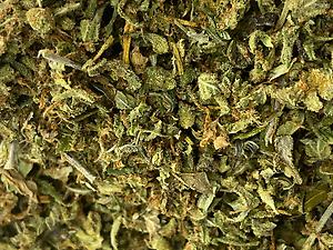 The Ultimate Shake Shack - Quality is King