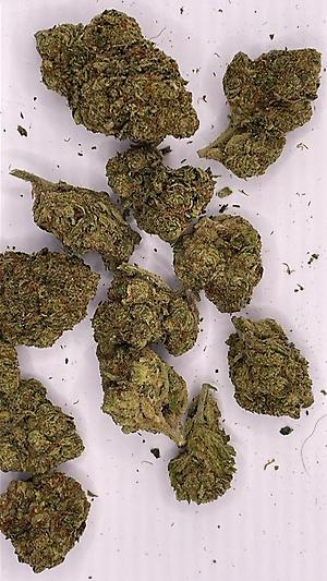 Jelly Rancher-EXOTICS