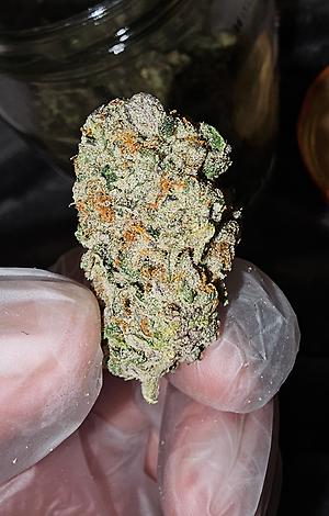 Gelato Punch 👊🏼