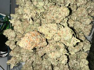 Eagle Platinum Cookies