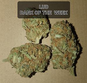 LUDS DANK OF THE WEEK