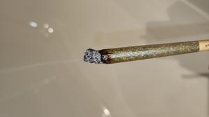 UK GROWN FLOWER