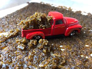 Creamsicle Sugar Wax [Jungle Boys Cut]