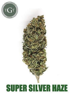 SUPER SILVER HAZE