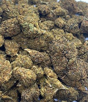 Hemp Lady’s Classic OG Kush - Low Cost / Great Bud