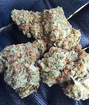 SHERBANGER 22 - 50/50 INDICA SATIVA - FREE TRACKED 24