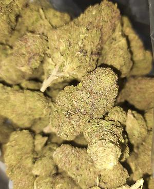 OREOZ - INDICA DOMINANT