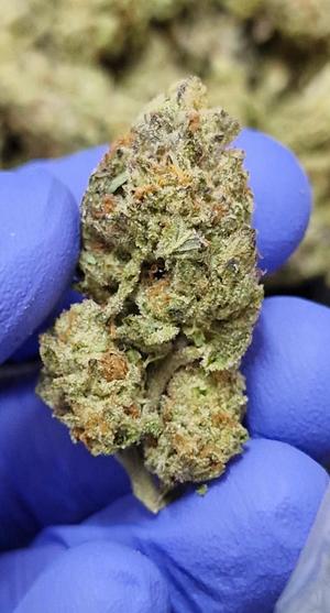 Frosted Cookies ⛄️ 🍪 Creamy Bud - Low Price