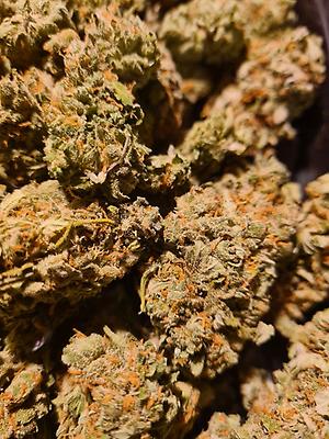 Super Lemon Haze Oz's