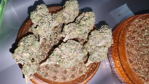 UK GROWN FLOWER
