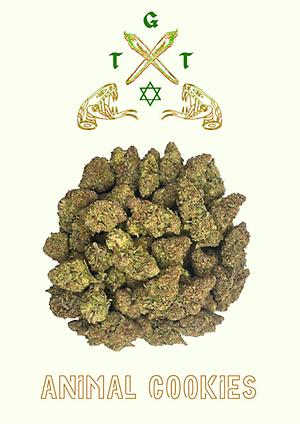 EXCLUSIVE ANIMAL COOKIES *FREE SHIPPING*