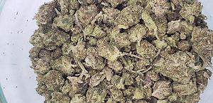 SMALL BUDS *VARIOUS STRAINS*