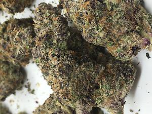 LEMON CHERRY GELATO BY BACKPACKOYZ 3.5 GRAMS!