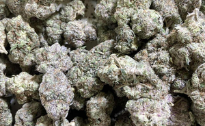 TOP SHELF CALI  (US Import)