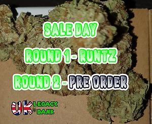 FLASH SALE DAY BARGAIN BUDS!