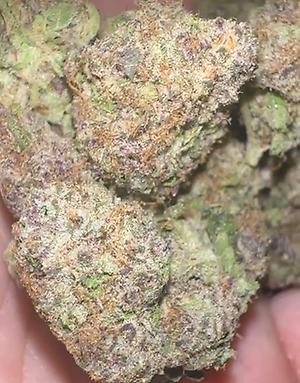 Strawberry Runtz - USA Import